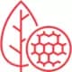 Plant Biology