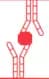Immunoassays