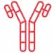 Primary Antibodies