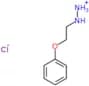 (2-phenoxyethyl)hydrazinium chloride