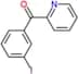 (3-Iodophenyl)-2-pyridinylmethanone