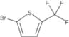 2-Bromo-5-(trifluoromethyl)thiophene