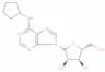 N6-cyclopentyladenosine