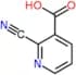 2-cyanopyridine-3-carboxylic acid