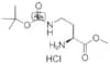 H-Dab(Boc)-OMe . HCl