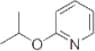 Pyridine,2-(1-methylethoxy)-