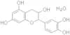 (+)-Catechin hydrate