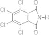 3,4,5,6-Tetrachlorophthalimide