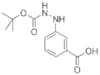 3-(2'-N-BOC-HYDRAZINO)BENZOIC ACID