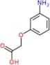(3-aminophenoxy)acetic acid