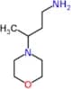 3-morpholin-4-ylbutan-1-amine