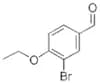 3-BROMO-4-ETHOXYBENZALDEHYDE