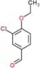 3-chloro-4-ethoxybenzaldehyde