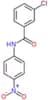 3-Chloro-N-(4-nitrophenyl)benzamide