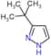 3-(1,1-Dimethylethyl)-1H-pyrazole