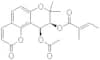 Praeruptorin A