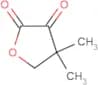dihydro-4,4-dimethyl-2,3-furandione