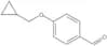 4-(Cyclopropylmethoxy)benzaldehyde