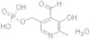 Pyridoxal 5′-phosphate monohydrate