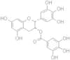 Epigallocatechin gallate