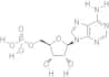 Adenosine monophosphate