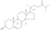 5-Dehydroepisterol