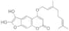 6′,7′-Dihydroxybergamottin