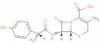 Cefadroxil