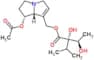 7-Acetylintermedine