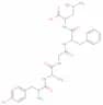 (D-ala2)-leucine enkephalin