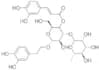 Verbascoside