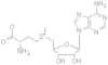 S-Adenosyl-L-methionine