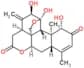 Ailanthone