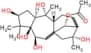 Grayanotoxin I