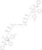 Atorvastatin Calcium