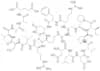 calcineurin substrate