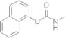 Carbaryl