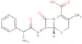 Cephalexin