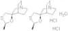 Cevimelinehydrochloride