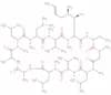 Cyclosporine A