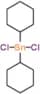 dichloro(dicyclohexyl)stannane