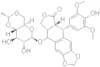 Etoposide