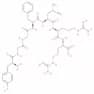 dynorphin fragment 1-7 porcine