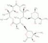 Erythromycin