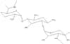 Gentamicin sulfate