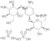 Kanamycin disulfate