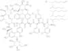 Teicoplanin