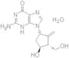 Entecavir monohydrate