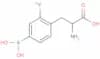4-borono-2-fluorophenylalanine