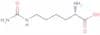 Homocitrulline
